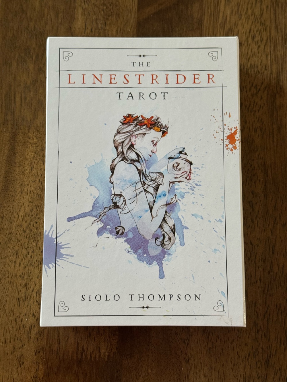 The Linestrider Tarot Deck and Guidebook Box Set Siolo Thompson Llewellyn